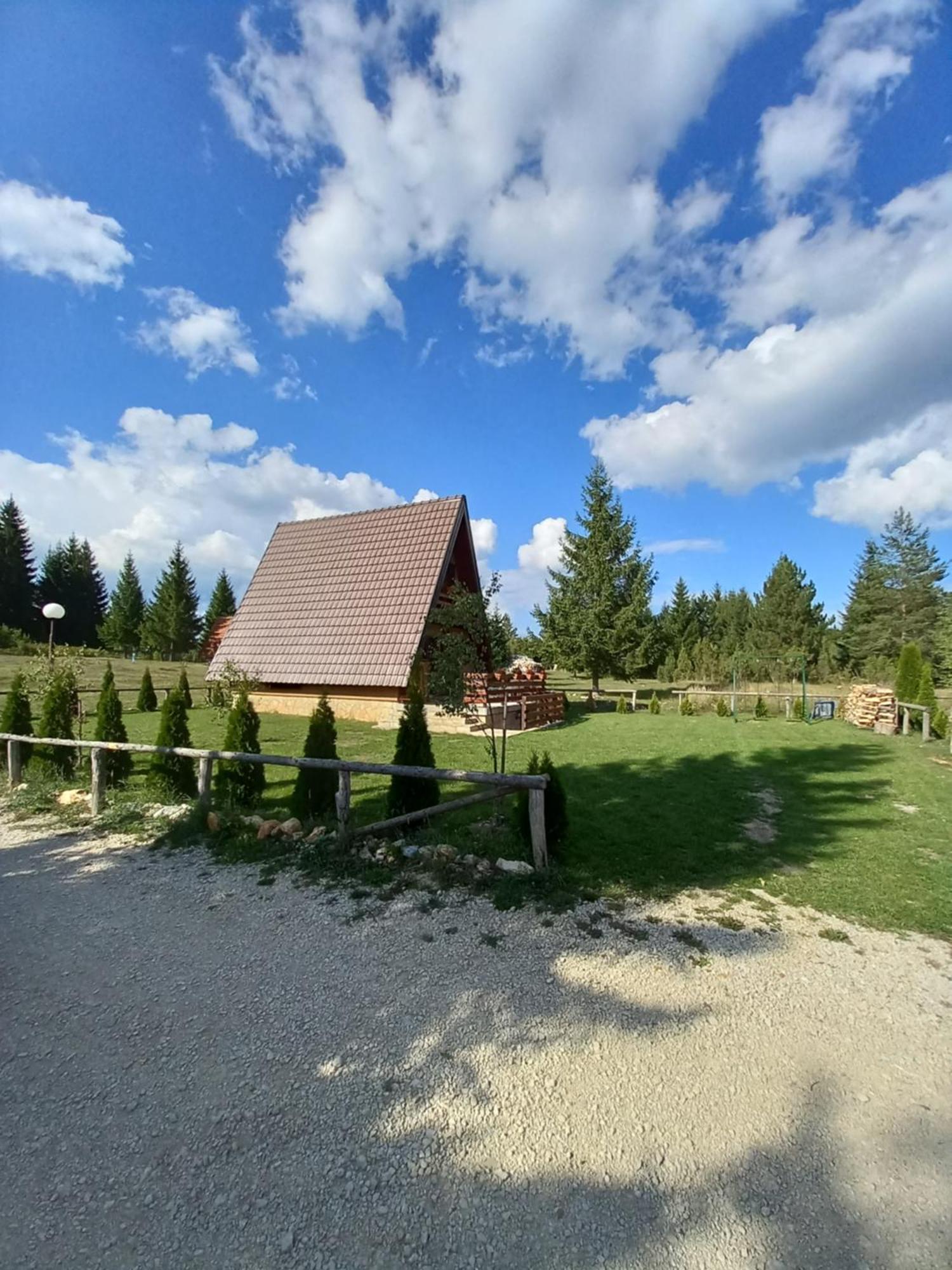 Villa Mountain House Tadic 1 à Bajina Basta Extérieur photo
