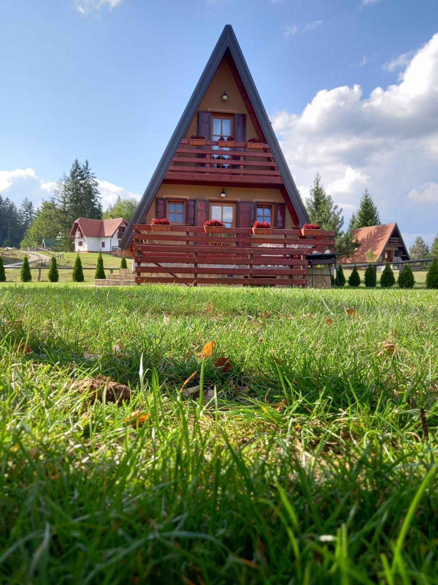 Villa Mountain House Tadic 1 à Bajina Basta Extérieur photo