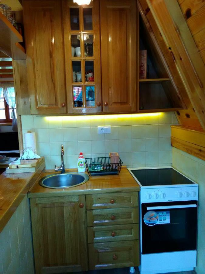 Villa Mountain House Tadic 1 à Bajina Basta Extérieur photo